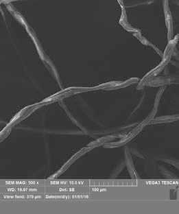 pagenumber_ebook=124,pagenumber_book=122