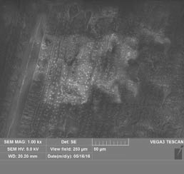 pagenumber_ebook=125,pagenumber_book=123