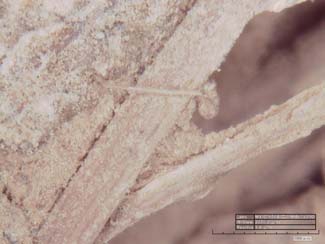 pagenumber_ebook=125,pagenumber_book=123