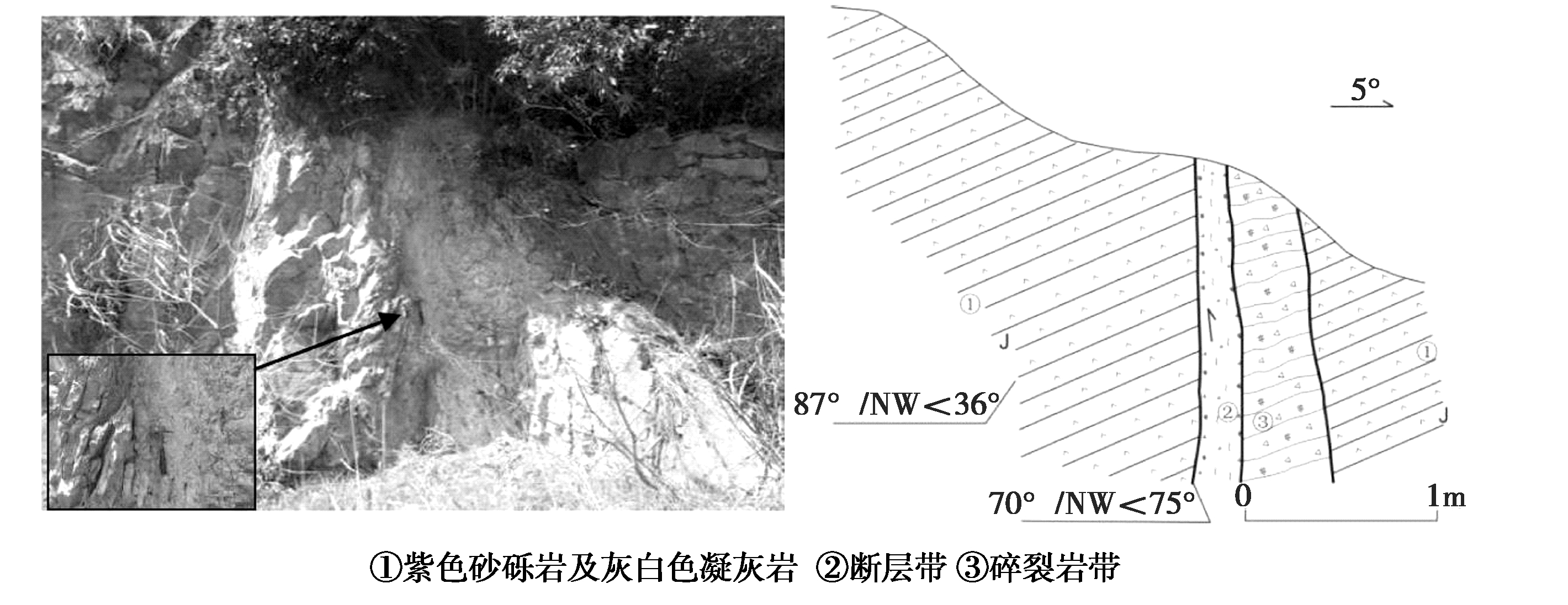 width=520,height=201,dpi=110