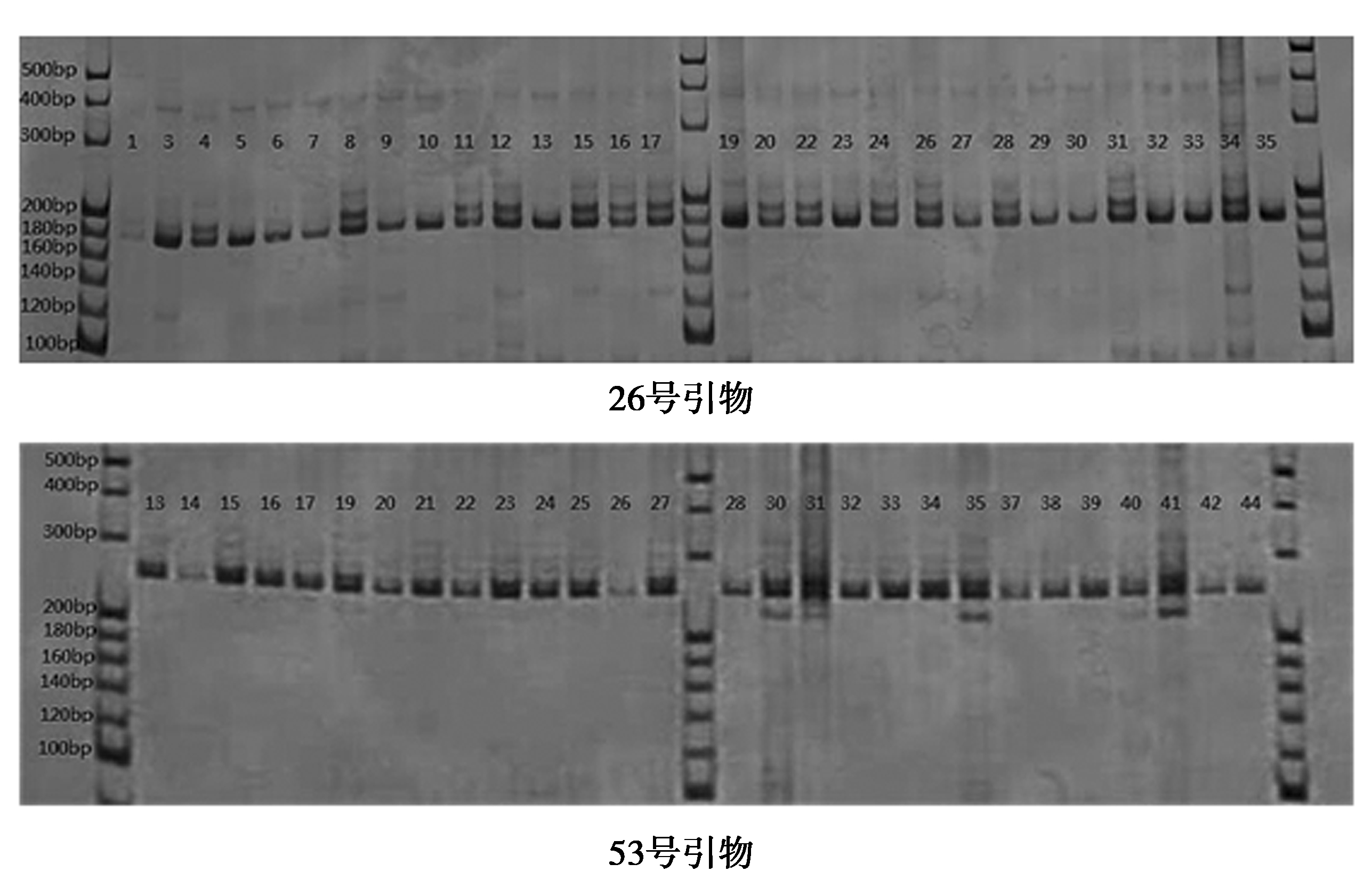 width=471,height=302,dpi=110