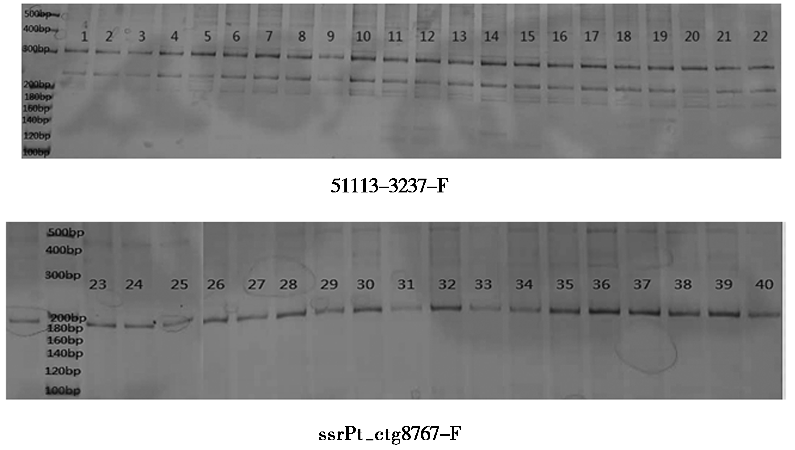 width=471,height=267,dpi=110