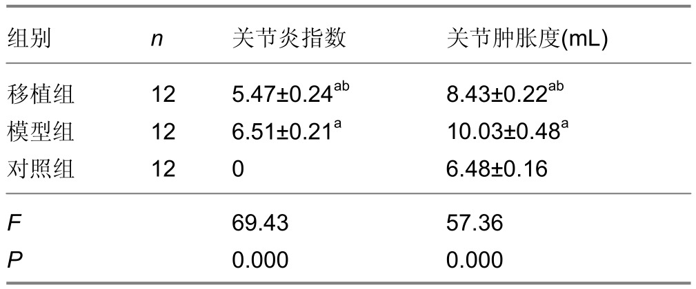 骨髓间充质干细胞移植治疗骨关节炎